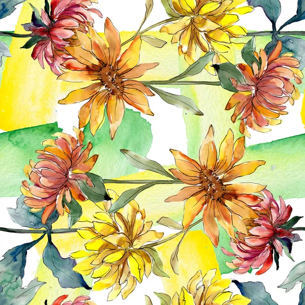 Aster bloemen botanische bloemen. Aquarel achtergrond illustratie instellen. eamless achtergrond patroon. — Stockfoto