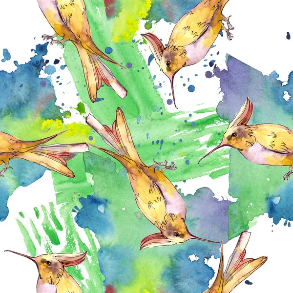 Sky bird colibri in a wildlife isolated. Watercolor background illustration set. Seamless background pattern. — Stock Photo, Image