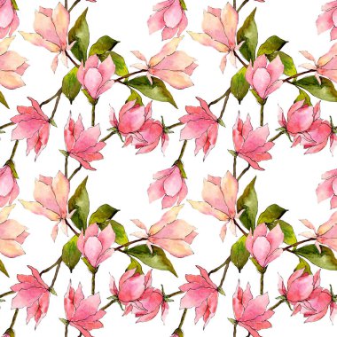 Pembe manolya çiçek botanik çiçekler. Suluboya arka plan illüstrasyon seti. Kesintisiz arka plan deseni.