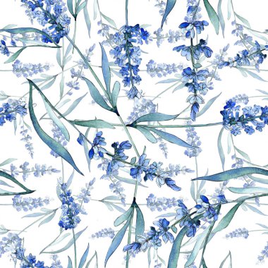 Mavi lavanta çiçek botanik çiçekleri. Suluboya arka plan illüstrasyon seti. Kesintisiz arka plan deseni.