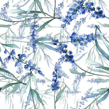 Mavi lavanta çiçek botanik çiçekleri. Suluboya arka plan illüstrasyon seti. Kesintisiz arka plan deseni.