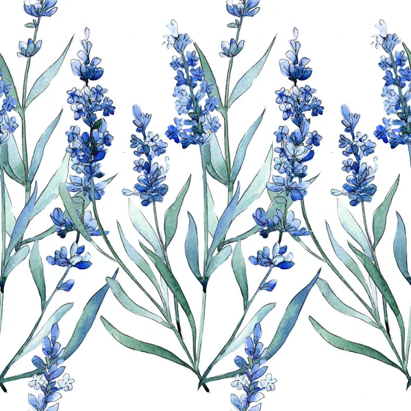 Fiori botanici floreali di lavanda blu. Acquerello sfondo illustrazione set. Modello di sfondo senza soluzione di continuità . — Foto Stock