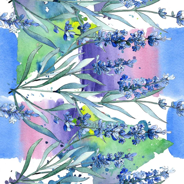 Flores botânicas florais de lavanda azul. Conjunto de ilustração de fundo aquarela. Padrão de fundo sem costura . — Fotografia de Stock