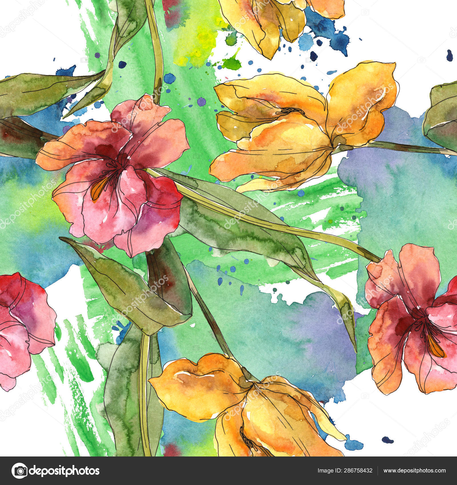 郁金香花卉植物花 水彩背景插图集 无缝背景模式 图库照片 C Mystocks