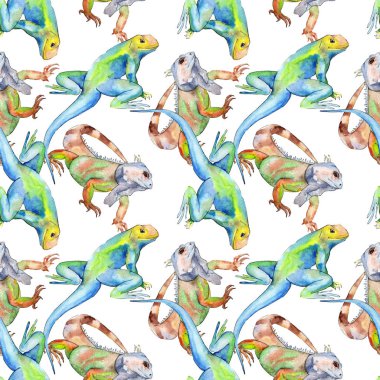 Egzotik iguana vahşi hayvan. Suluboya arka plan illüstrasyon seti. Kesintisiz arka plan deseni.