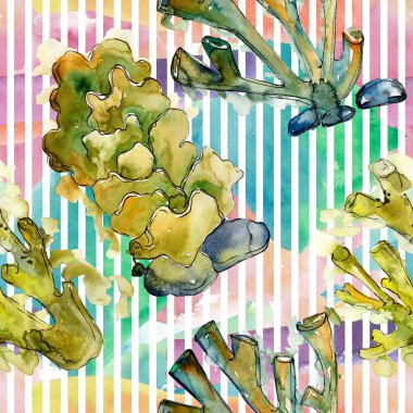 Renkli su sualtı doğa mercan kayalığı. Suluboya arka plan illüstrasyon küme. Sorunsuz arka plan deseni.