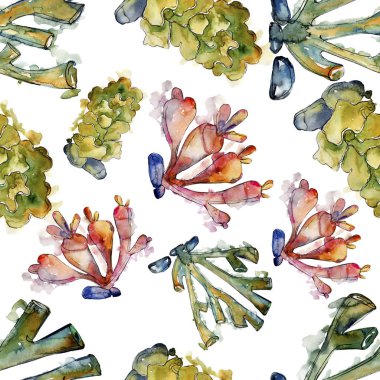 Renkli su sualtı doğa mercan kayalığı. Suluboya arka plan illüstrasyon küme. Sorunsuz arka plan deseni.