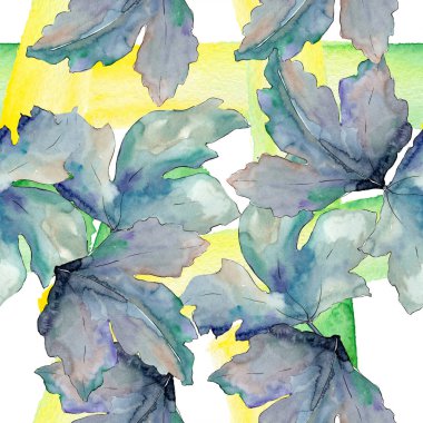 Bektaşi üzümü yeşil yaprakları izole. Suluboya arka plan illüstrasyon seti. Kesintisiz arka plan deseni.