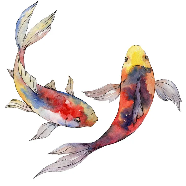 Aquatic underwater colorful tropical fish set. Watercolor background set. Isolated goldfish illustration element. — Stock Photo, Image