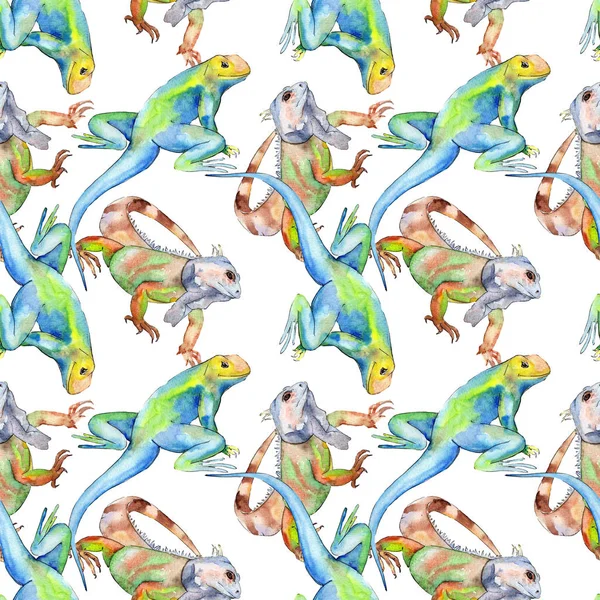 Exotic iguana wild animal. Watercolor background illustration set. Seamless background pattern. — Stock Photo, Image