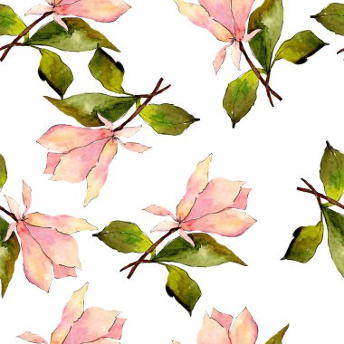 Pembe manolya çiçek botanik çiçekler. Suluboya arka plan illüstrasyon seti. Kesintisiz arka plan deseni.