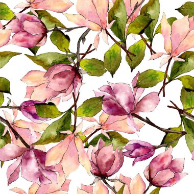 Pembe manolya çiçek botanik çiçekler. Suluboya arka plan illüstrasyon seti. Kesintisiz arka plan deseni.