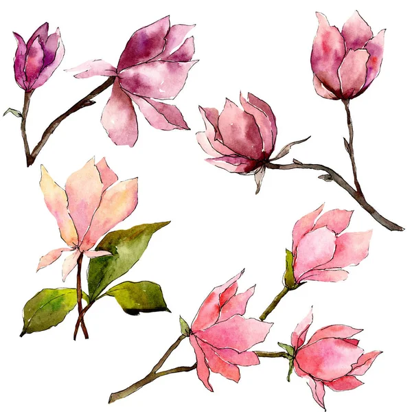 Fiori botanici floreali di magnolia rosa. Acquerello sfondo illustrazione set. Elemento di illustrazione magnolia isolata . — Foto Stock