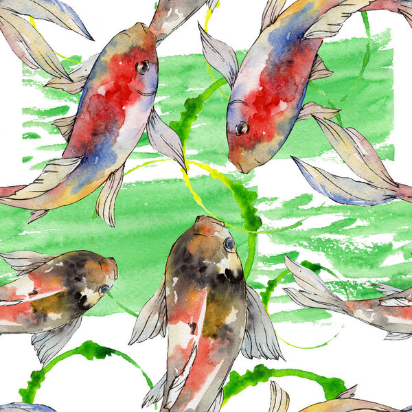 Aquatic underwater colorful tropical goldfish set. Watercolor background illustration set. Seamless background pattern.