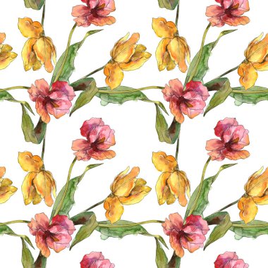 Laleler çiçek botanik çiçekleri. Suluboya arka plan illüstrasyon seti. Kesintisiz arka plan deseni.
