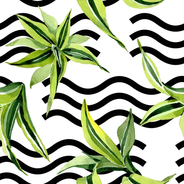 Dracena groene bladeren. Blad plant botanische bloemen gebladerte. Aquarel illustratie set. Naadloos achtergrond patroon. — Stockfoto