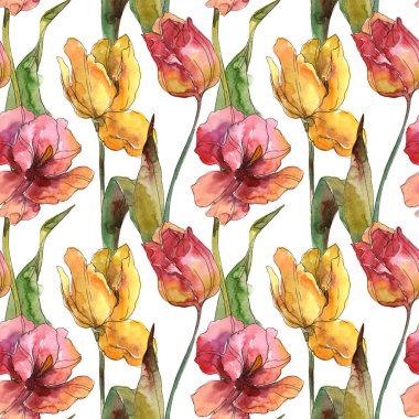 Laleler çiçek botanik çiçekleri. Suluboya arka plan illüstrasyon seti. Kesintisiz arka plan deseni.