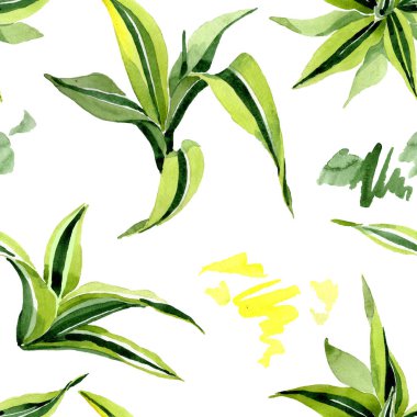 Dracena yeşil yaprakları. Yaprak bitki botanik çiçek yaprakları. Suluboya illüstrasyon seti. Kesintisiz arka plan deseni.