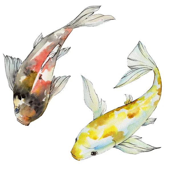 Acquatico subacqueo colorato set di pesci tropicali. Set sfondo acquerello. Elemento di illustrazione dei pesci rossi isolati . — Foto Stock