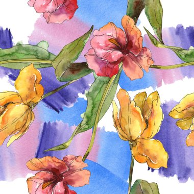 Laleler çiçek botanik çiçekleri. Suluboya arka plan illüstrasyon seti. Kesintisiz arka plan deseni.