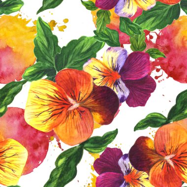 Viyola çiçek botanik çiçek. Suluboya arka plan illüstrasyon seti. Kesintisiz arka plan deseni.