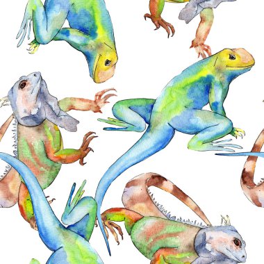 Egzotik iguana vahşi hayvan. Suluboya arka plan illüstrasyon seti. Kesintisiz arka plan deseni.