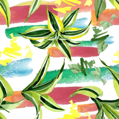 Dracena yeşil yaprakları. Yaprak bitki botanik çiçek yaprakları. Suluboya illüstrasyon seti. Kesintisiz arka plan deseni.