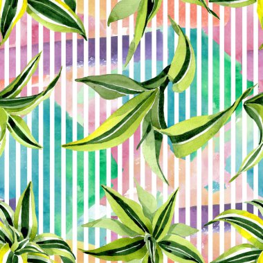 Dracena yeşil yaprakları. Yaprak bitki botanik çiçek yaprakları. Suluboya illüstrasyon seti. Kesintisiz arka plan deseni.