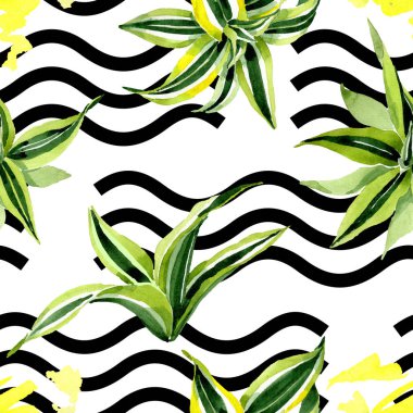 Dracena yeşil yaprakları. Yaprak bitki botanik çiçek yaprakları. Suluboya illüstrasyon seti. Kesintisiz arka plan deseni.