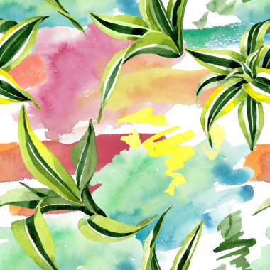 Dracena yeşil yaprakları. Yaprak bitki botanik çiçek yaprakları. Suluboya illüstrasyon seti. Kesintisiz arka plan deseni.