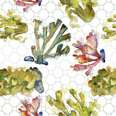 Renkli su sualtı doğa mercan kayalığı. Suluboya arka plan illüstrasyon küme. Sorunsuz arka plan deseni.