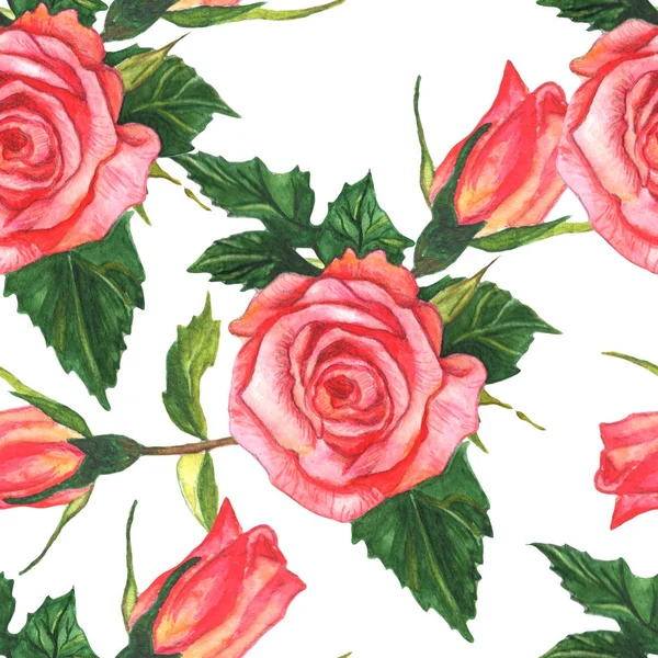 Rosa rosa flor botânica floral. Conjunto de ilustração de fundo aquarela. Padrão de fundo sem costura . — Fotografia de Stock