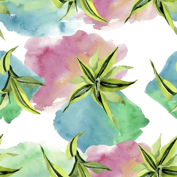 Dracena 녹색 잎. 잎 식물 식물 꽃 단풍. 수채화 일러스트 세트입니다. 원활한 배경 패턴. — 스톡 사진