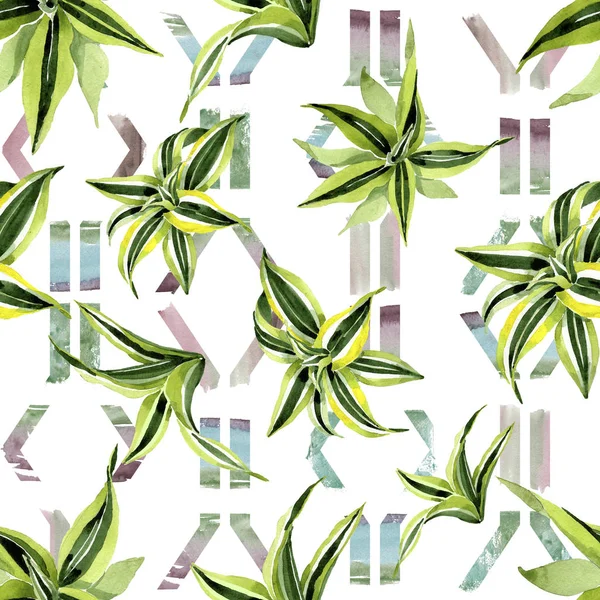Hojas verdes Dracena. Follaje floral botánico de hojas. Juego de ilustración en acuarela. Patrón de fondo sin costuras . — Foto de Stock