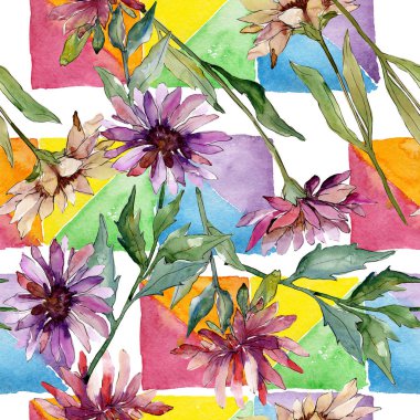 Aster çiçek botanik çiçekler. Suluboya arka plan illüstrasyon seti. Kesintisiz arka plan deseni.