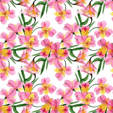 Pembe alstroemeria çiçek botanik çiçekler. Suluboya arka plan illüstrasyon seti. Kesintisiz arka plan deseni.