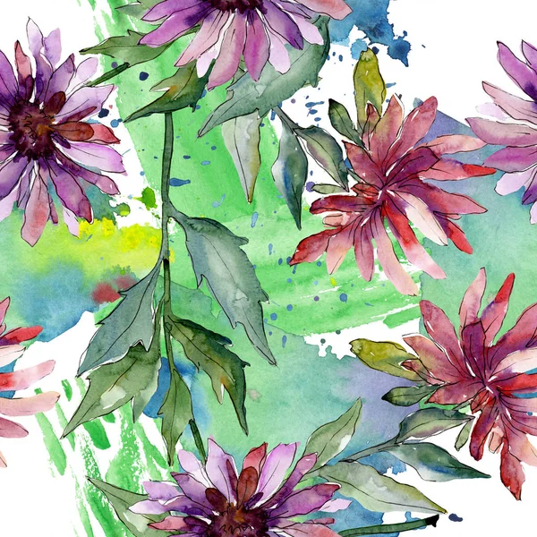 Fiori botanici floreali di Aster. Acquerello sfondo illustrazione set. Modello di sfondo senza soluzione di continuità . — Foto Stock