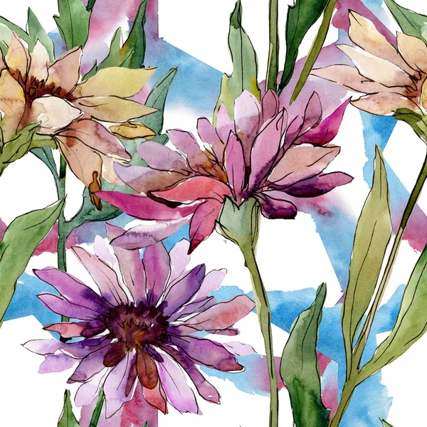 Aster çiçek botanik çiçekler. Suluboya arka plan illüstrasyon seti. Kesintisiz arka plan deseni. — Stok fotoğraf