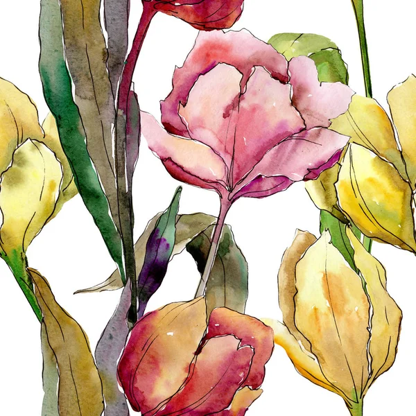 Fleurs botaniques florales de tulipes. Ensemble d'illustration de fond aquarelle. Modèle de fond sans couture . — Photo
