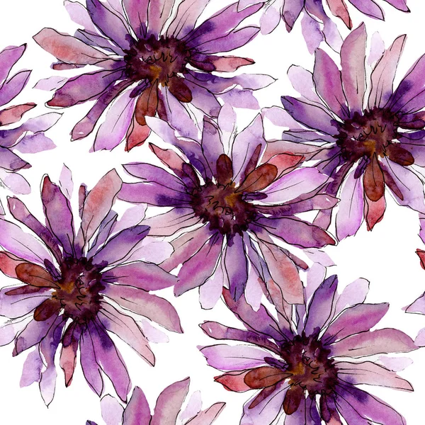 Aster flores botánicas florales. Conjunto de ilustración de fondo acuarela. Patrón de fondo sin costuras . — Foto de Stock