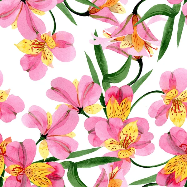 Ροζ Alstroemeria Floral λουλούδια βοτανικής. Σύνολο εικονογράφησης φόντου. Ομαλή μοτίβο φόντου. — Φωτογραφία Αρχείου