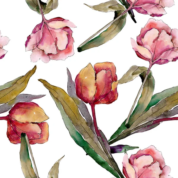 Tulipano fiori botanici floreali. Acquerello sfondo illustrazione set. Modello di sfondo senza soluzione di continuità . — Foto Stock