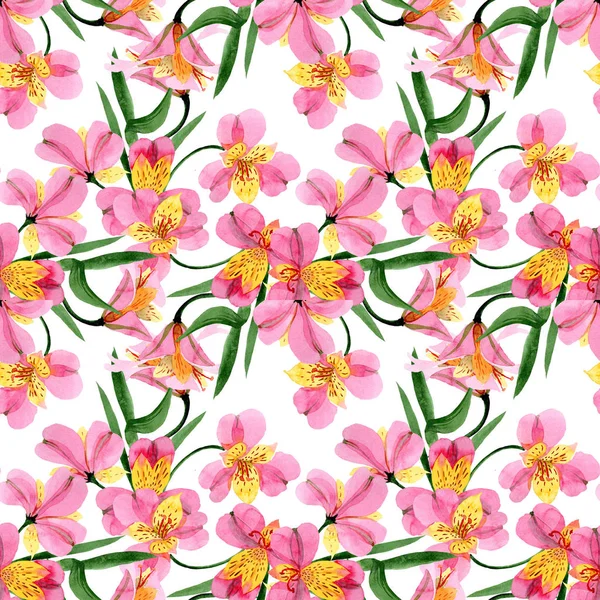 Alstroemeria rosa fiori botanici floreali. Acquerello sfondo illustrazione set. Modello di sfondo senza soluzione di continuità . — Foto Stock