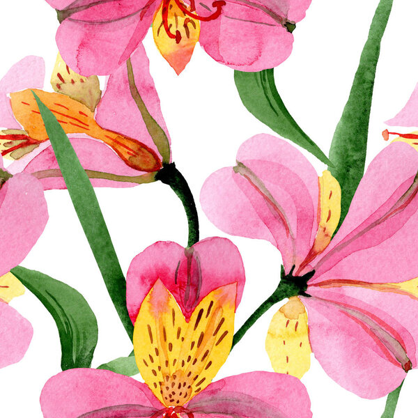 Pink alstroemeria floral botanical flowers. Watercolor background illustration set. Seamless background pattern.