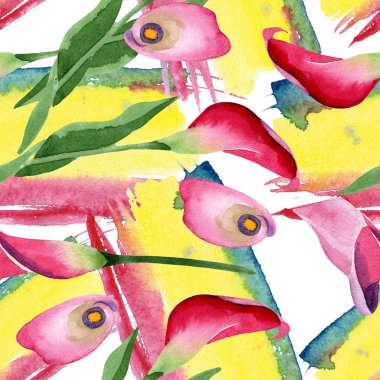 Pembe calla çiçek botanik çiçek. Suluboya arka plan illüstrasyon seti. Kesintisiz arka plan deseni.