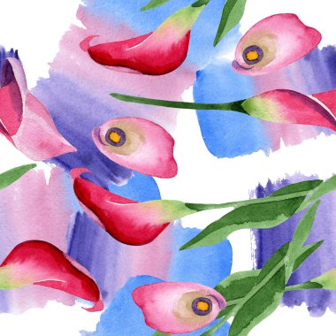 Pembe calla çiçek botanik çiçek. Suluboya arka plan illüstrasyon seti. Kesintisiz arka plan deseni.