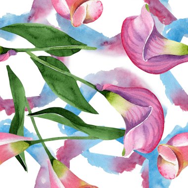 Pembe calla çiçek botanik çiçek. Suluboya arka plan illüstrasyon seti. Kesintisiz arka plan deseni.