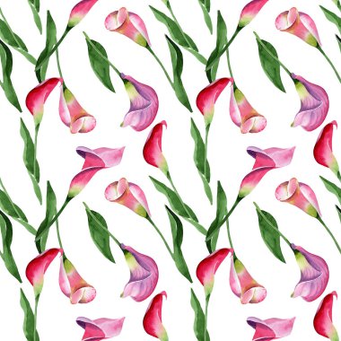 Pembe calla çiçek botanik çiçek. Suluboya arka plan illüstrasyon seti. Kesintisiz arka plan deseni.