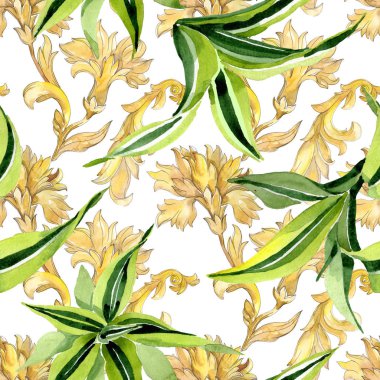 Dracena yeşil yaprakları. Yaprak bitki botanik çiçek yaprakları. Suluboya illüstrasyon seti. Kesintisiz arka plan deseni.