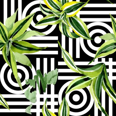 Dracena yeşil yaprakları. Yaprak bitki botanik çiçek yaprakları. Suluboya illüstrasyon seti. Kesintisiz arka plan deseni.
